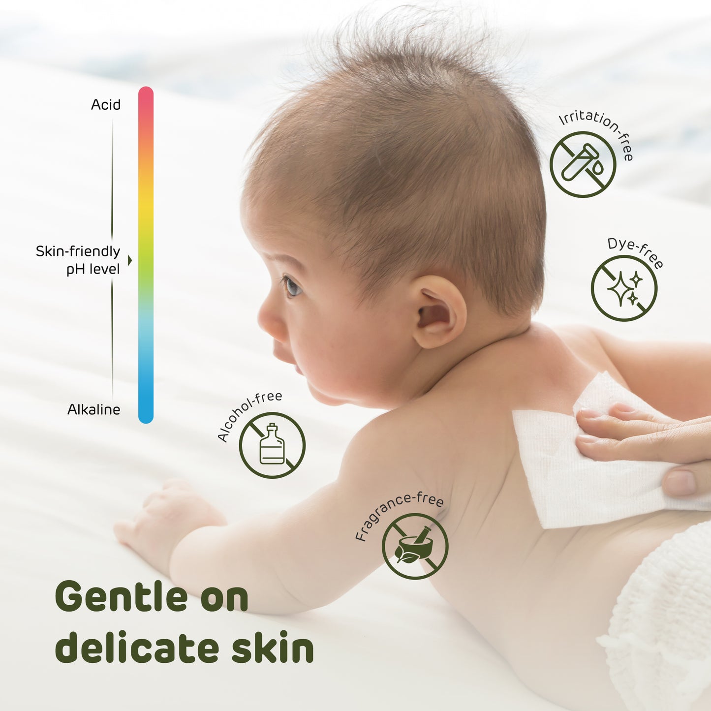 100% Biodegradable Dry Wipes
