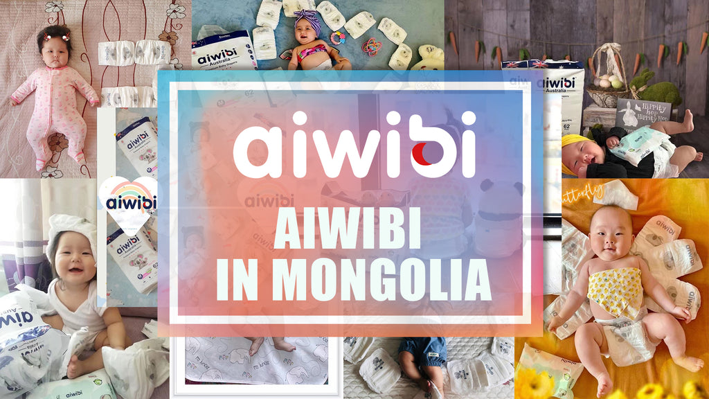 AIWIBI in Mongolia