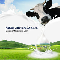 Cow peeking out from a splash of milk with '38 Degrees South' branding and a scenic background.