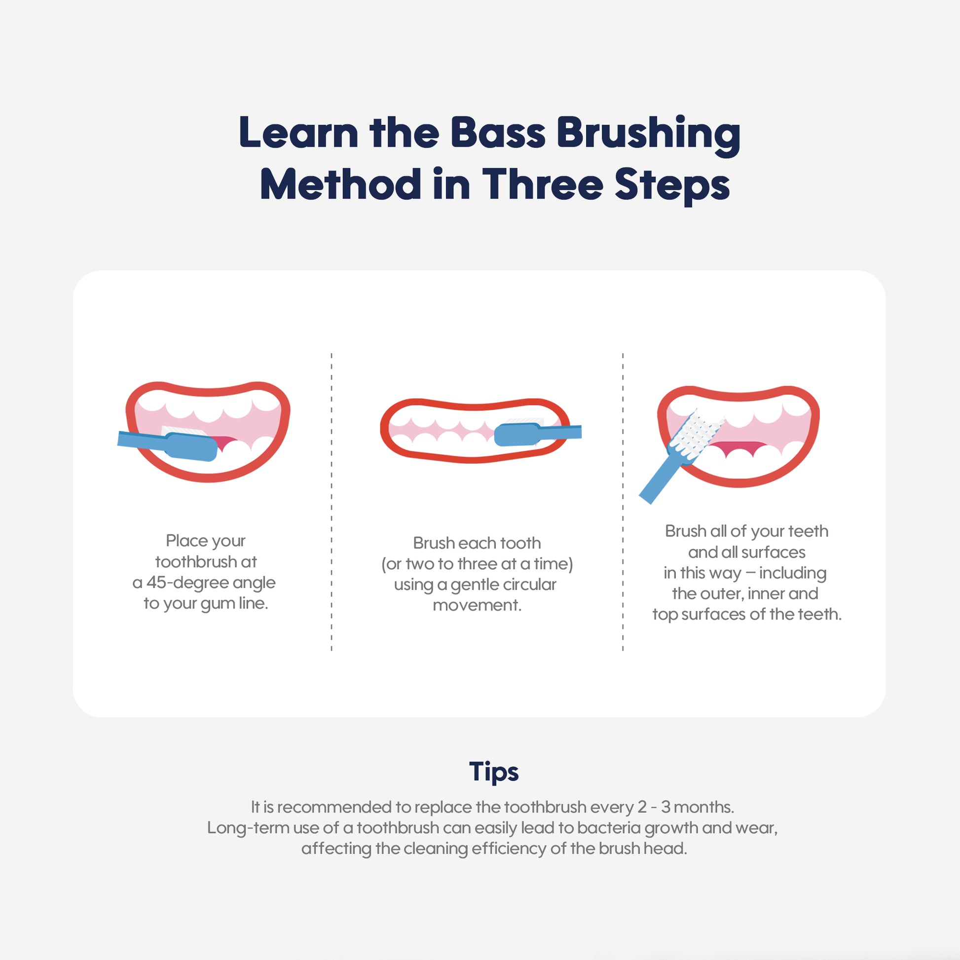 Image displaying toothbrushing instructions for babies.