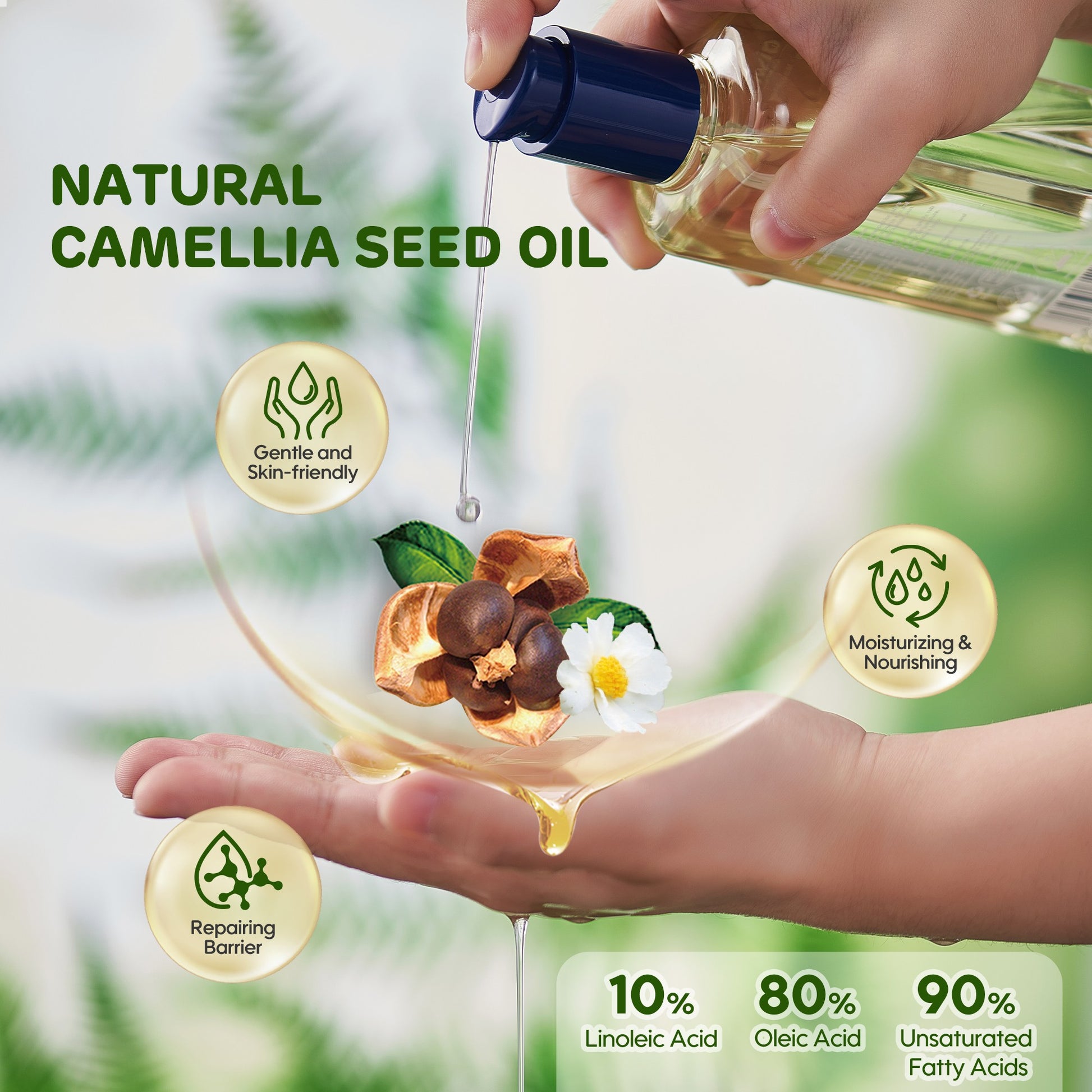 Natural Camellia Seed Oil in Aiwibi Baby Oil – Rich in Fatty Acids for Skin Barrier Repair